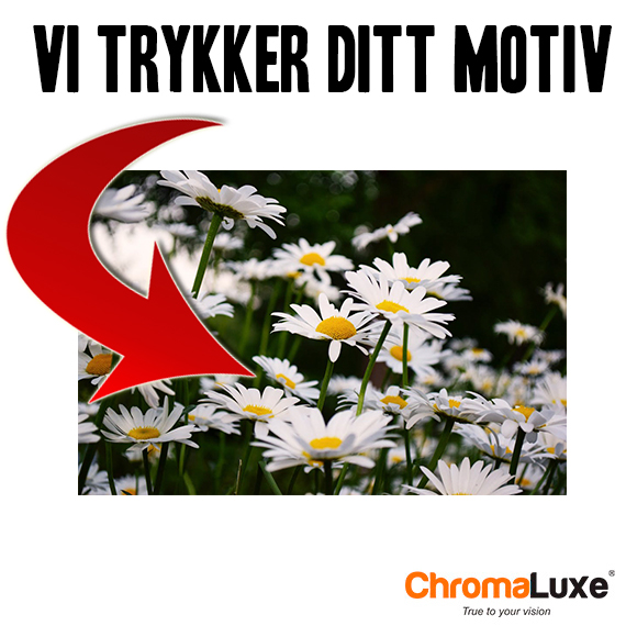 Chromaluxe HD Fotoplate med Trykk